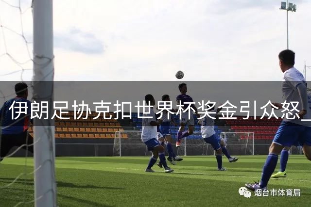 伊朗足协克扣世界杯奖金引众怒 球员实际到手不足承诺四成