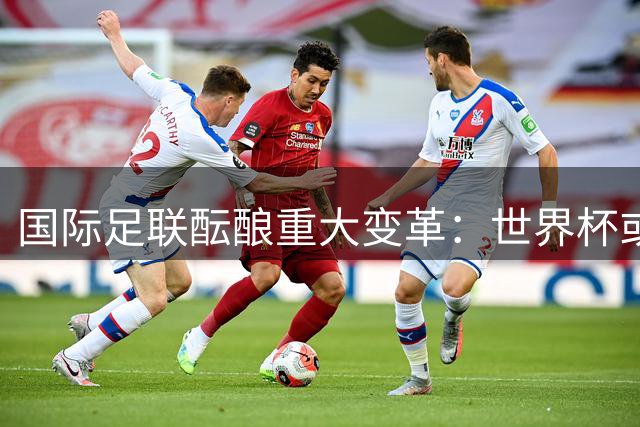 国际足联酝酿重大变革：世界杯或将引入私人资本